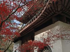 -虎跑公园