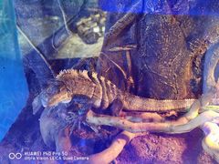 -荆州中山公园动物园