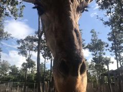 -清迈夜间动物园