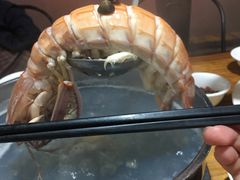 -凯华海鲜火锅·传承三十六年