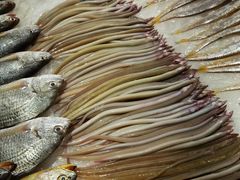 -紫阳海鲜楼·传承闽味(长乐路总店)