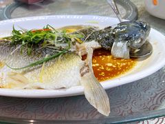油盐蒸竹溪鲩鱼-淇乐多品味馆(江南大道店)