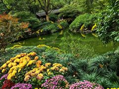 -杭州植物园