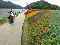 -广州市石门国家森林公园