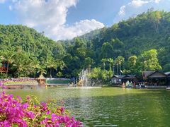 -西双版纳原始森林公园