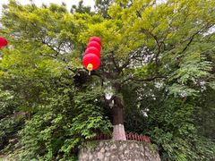 -南海神庙