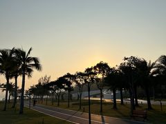 -野狸岛