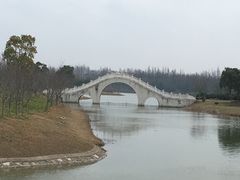 景点-上海海湾国家森林公园