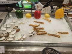 -深圳东方银座酒店·棕榈园西餐厅