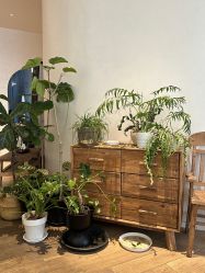 -WAVE SODA摄影工作室