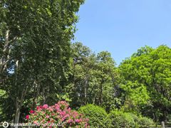-星璨火吧KTV聚会餐厅(华清广场店)