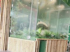 -武汉动物园