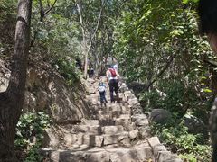 -大岭沟猕猴桃谷风景区