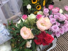 -重庆市江北嘴中央商务区中央公园