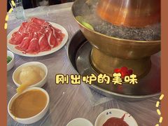 -鑫龙火锅城(阳光新路店)