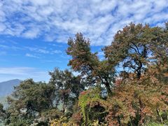 -广州市石门国家森林公园