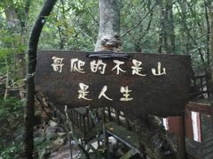 -七仙岭温泉国家森林公园