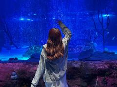 -沈阳海洋探索中心