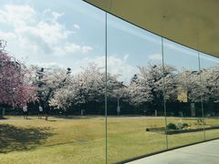 -金泽21世纪美术馆