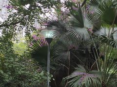 -成都市活水公园