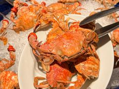 -君悦酒店·乐厨·高空自助餐(青年大街店)