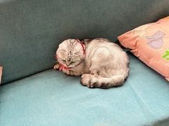 -美联众合24小时·皮肤科·外科·全科诊疗中心(华苑分院)