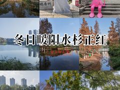 -重庆彩云湖湿地公园