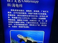 -福州罗源湾海洋世界旅游区