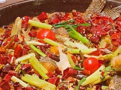 -老板恋上鱼(恒隆广场店)