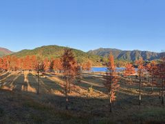 -塔川景区