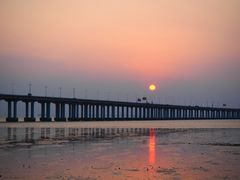 -宝安西湾红树林湿地公园