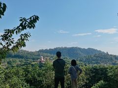 -东莞植物园