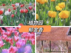 -鸡鸣寺
