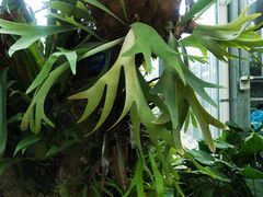 -国家植物园南园