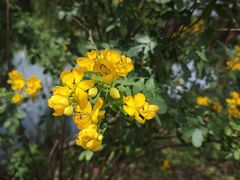 -贵阳市花溪国家城市湿地公园