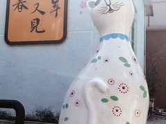 -猫咪博物馆(顶澳仔猫街店)