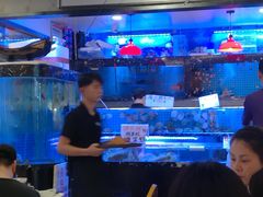 水产区-鲜入围煮花胶鸡海鲜火锅