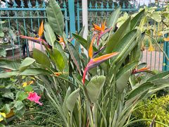 -国家植物园南园