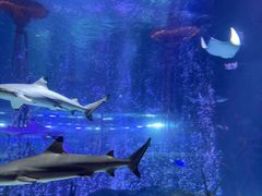 -沈阳海洋探索中心