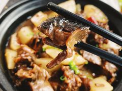 牦牛肉炖萝卜-墨白私房菜·广东菜 粤菜