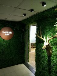 -V-STAR威斯达•高级私人定制