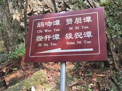 -九龙潭景区