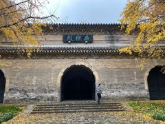 -灵谷景区