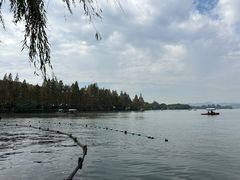 -杭州君悦酒店·青莳