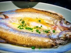-苏帮袁Sue Cuisine(将台店)