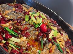 -老板恋上鱼(恒隆广场店)