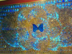 -上海昆虫博物馆