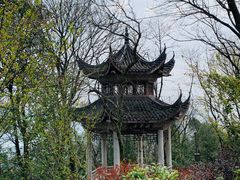 -岳麓山风景名胜区