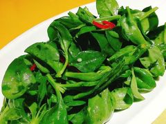 -素虎小呆鸟(西二旗店)