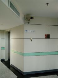 -康乃馨·馨悦佳人(鹭江店)